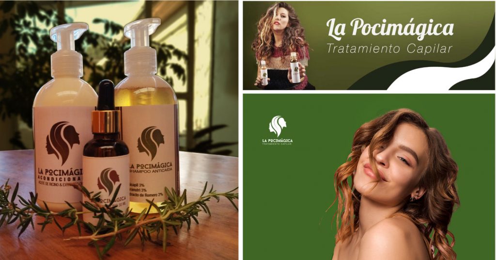 Diseño web V Región Chile